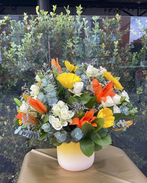 Dia Internacional del Hombre