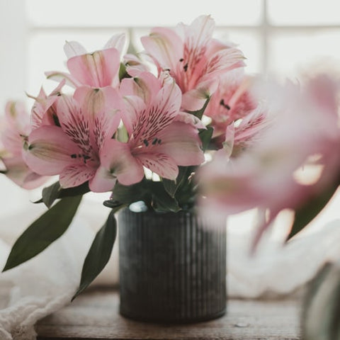 Lirios, Flores 24 horas, domicilio en Bogotá DC