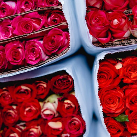 Rosas Rojas y más San Valentín, Flores 24 horas, domicilio en Bogotá DC