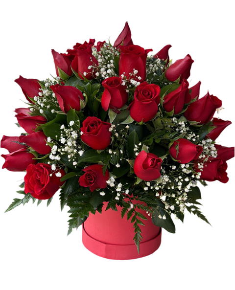 36 Rosas Rojas Caja 🌹