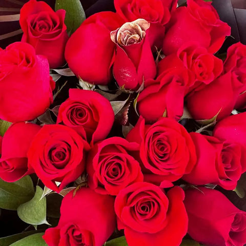 Buchón con 24 Rosas ¡Sorprende con un regalo inolvidable! rosas perfectas para expresar amor, gratitud y más, envuelto en elegante papel de regalo, entrega domicilio en Bogotá, floristería Flores 24 Horas