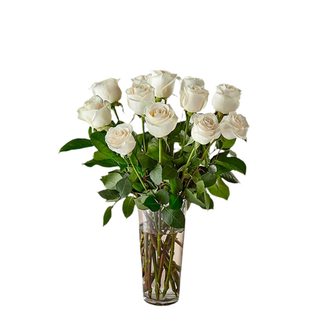 Rosas Blancas De Tallo Largo