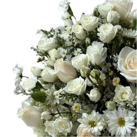 Caja de Rosas Blancas – Pureza y Sofisticación