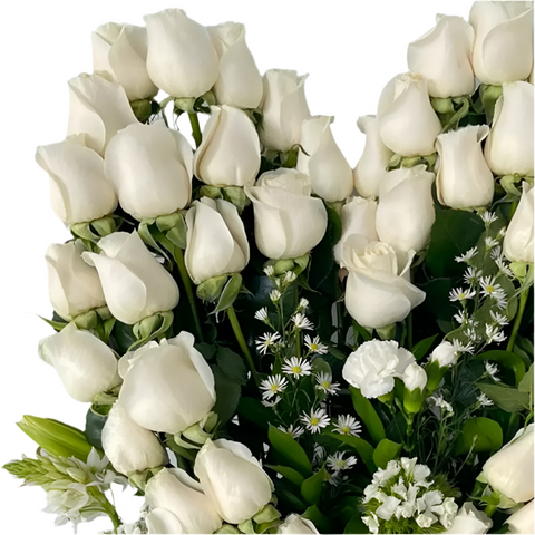 Amor Sincero Rosas Blancas Corazón - Flores 24 Horas Bogotá