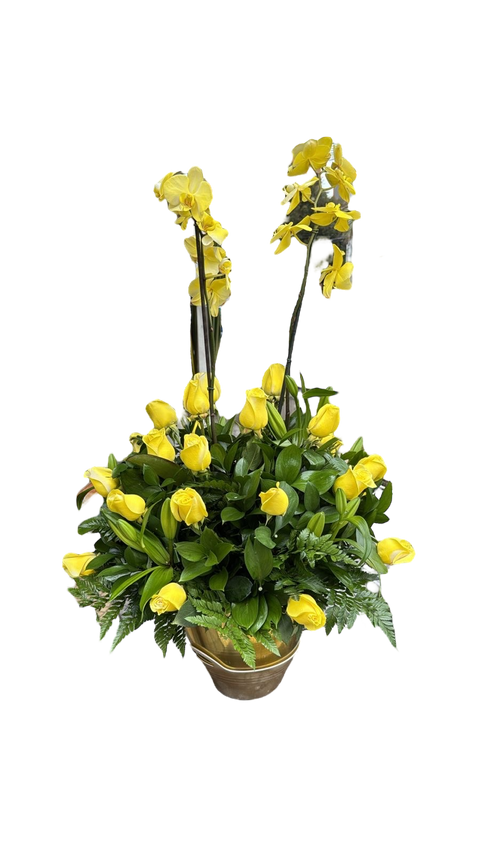 Rosas Amarillas y Orquídeas