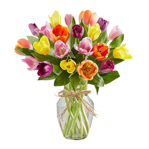 Primavera con Tulipanes