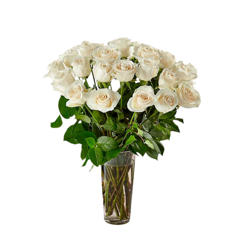 Rosas Blancas De Tallo Largo
