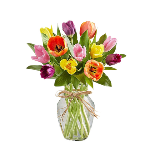 Primavera con Tulipanes