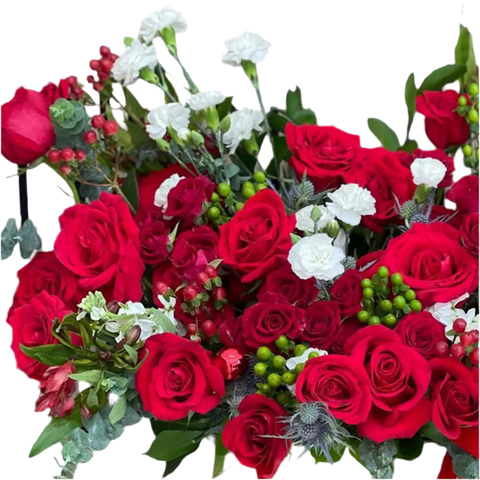 Rosas Clásico y Romántico