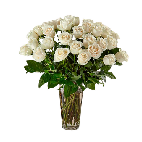 Rosas Blancas De Tallo Largo