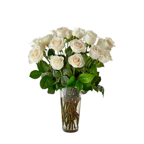 Rosas Blancas De Tallo Largo