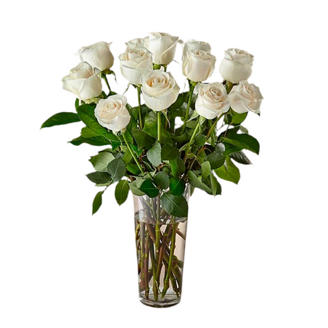 Rosas blancas de tallo largo con follaje verde en un jarrón de vidrio estrecho sobre fondo blanco