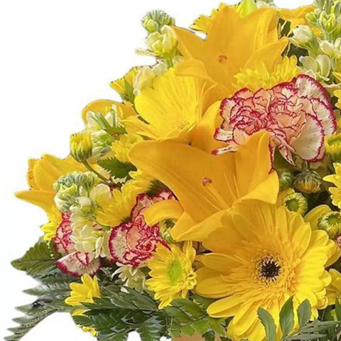 Flores bonitas para mamá, con margaritas, pompones, claveles y boca de dragón, estas flores evocan la sofisticación y la elegancia que ella merece, enregamos sus regalos de flores para mamá en Bogotá, floristería Flores 24 Horas