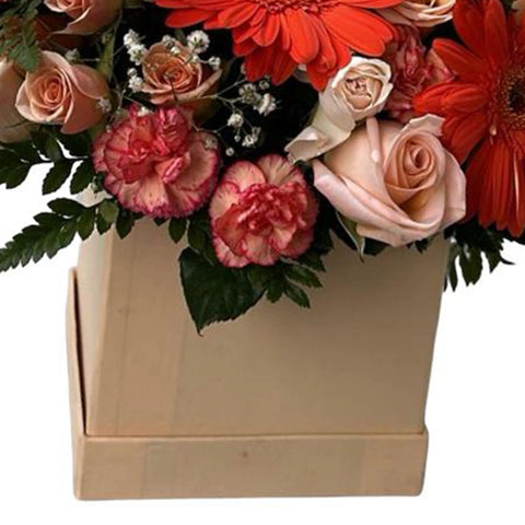 Flores Hermosas para Mamá, una hermosa caja de flores para regalar a mamá, las elegantes rosas, alegres margaritas y delicados claveles simbolizan el amor y la gratitud que sentimos por ella, floristería Flores 24 Horas