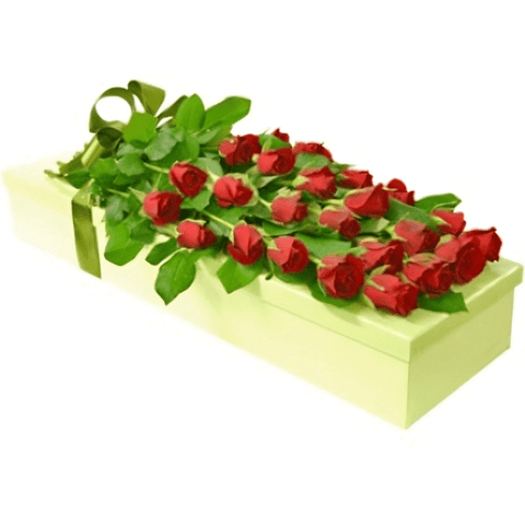 Regalo Sorpresa Rosas En Caja Para Regalar, Rosas En Caja, Flores En Caja, Regalo De Rosas Únicas y Especiales Para Cualquier Ocasión, Flores 24 Horas, Flores De Colombia, Arreglos Florales Baratos, Arreglos Florales A Domicilio En Bogotá DC.