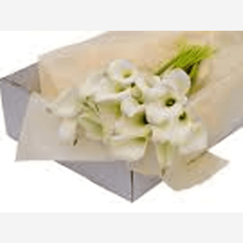 Flores Blancas En Caja Para Regalar, Flores En Caja, Regalo De Rosas Únicas y Especiales Para Cualquier Ocasión, Flores 24 Horas, Flores De Colombia, Arreglos Florales Baratos, Arreglos Florales A Domicilio En Bogotá DC.