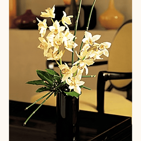 Orquídeas De Colombia, Hermosa Planta Para Decoración De Hogar, Oficina y Ambientes Ideales Para La Calma, Regalos Únicos, Plantas Colombianas. Floristería Flores 24 Horas, Domicilios En Bogotá DC