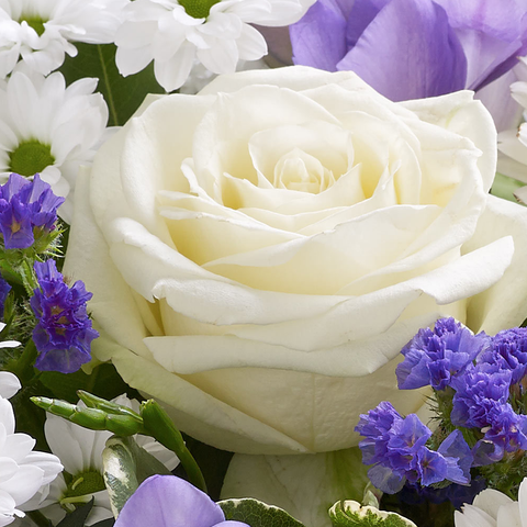 Baby Boy es el regalo perfecto para celebrar el nacimiento de un bebé, flores para regalar a mamá y expresar alegría en la llegada del nuevo miembro de la familia