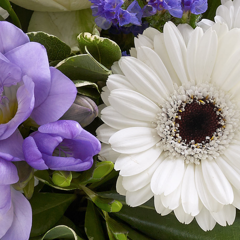 Baby Boy es el regalo perfecto para celebrar el nacimiento de un bebé, flores para regalar a mamá y expresar alegría en la llegada del nuevo miembro de la familia
