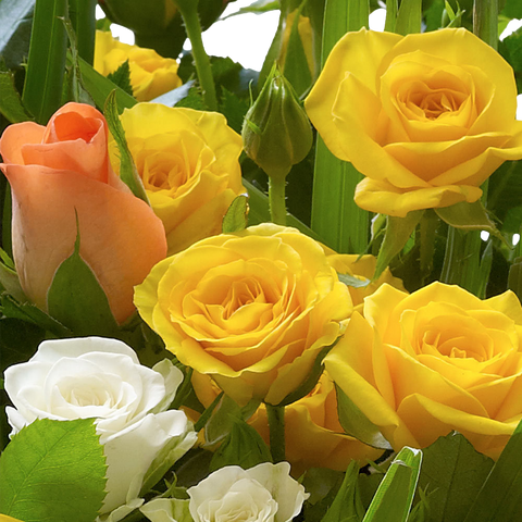 Rosas Otoño Dorado, combinación de rosas color amarillo, durazno, blancas, floristería flores 24 horas, Bouquet, Flores en Jarrón, regalo de aniversario