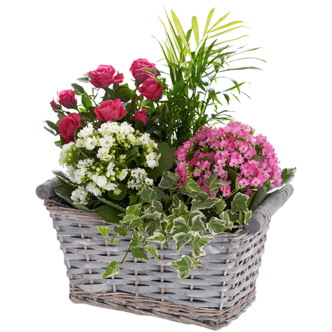Happy Birthday Basket, flores para regalo de cumpleaños, flores y plantas para jardín, decoración de hogar, Flores 24 Horas