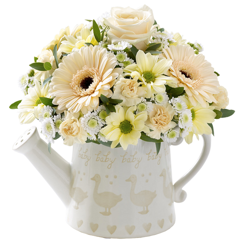 Regadera de Flores, flores para jardín y decoración de hogar con flores blancas, margaritas una bella rosa blanca, es un hermoso regalo para aniversario, regalo de flores para cumpleaños, flores para toda ocasión y decoración, Floristería Flores 24 Horas