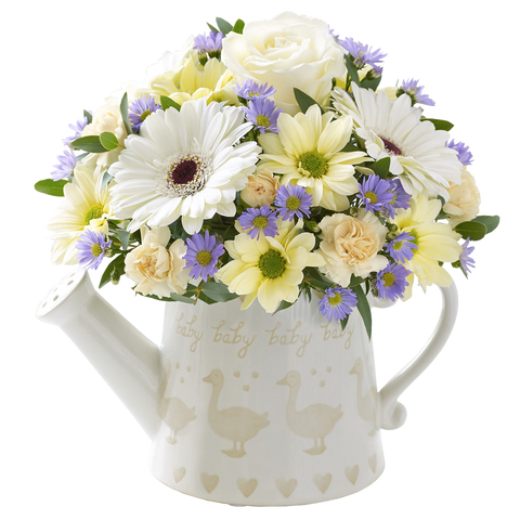 Regadera de Flores, flores para jardín y decoración de hogar con flores blancas, margaritas una bella rosa blanca, es un hermoso regalo para aniversario, regalo de flores para cumpleaños, flores para toda ocasión y decoración, Floristería Flores 24 Horas