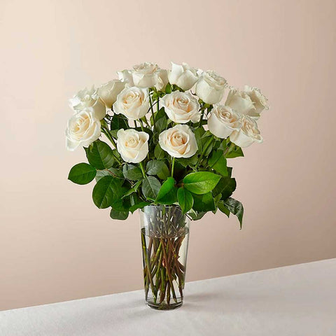 24 Rosas, Ramo de rosas blancas de tallo largo: Las rosas blancas son elegantes, luminosas y acentúan maravillosamente cualquier habitación. Floristería Flores 24 Horas