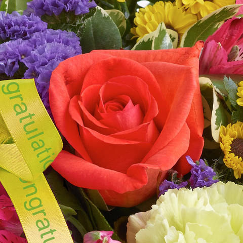 Nacimiento Flores Bouquet o Jarrón, flores para regalar y celebrar nacimiento con rosas, gerberas, astromelias en bouquet o jarrón, es un hermoso regalo para expresar alegría por la llegada del bebé, regalo de flores para cumpleaños, flores para toda ocasión y decoración, Floristería Flores 24 Horas