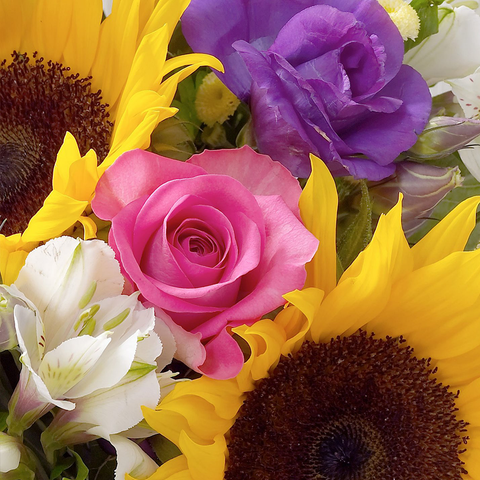 Girasoles Primavera, arreglo de flores con girasoles, rosas, astromelias - alstroemerias, es un regalo de flores para aniversario, regalo de flores para cumpleaños, regalo de flores para toda ocasión, Floristería Flores 24 Horas