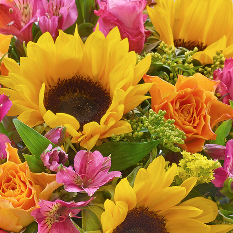 Girasoles Primavera, arreglo de flores con girasoles, rosas, astromelias - alstroemerias, es un regalo de flores para aniversario, regalo de flores para cumpleaños, regalo de flores para toda ocasión, Floristería Flores 24 Horas