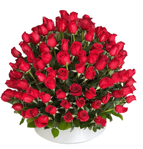 Arreglo de 100 rosas rojas en Bogotá con entrega 24 horas. Floristería abierta todos los días del año. Flores frescas colombianas para expresar amor. ¡Ordena ahora!