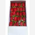 24 Rosas Rosas En Caja, Flores En Caja, Regalo De Rosas Únicas y Especiales Para Cualquier Ocasión, Flores 24 Horas, Domicilio En Bogotá DC.