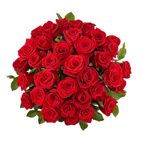 Rosas Rojas Enamorar