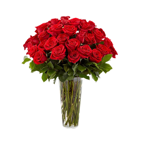 Rosas Rojas Enamorar