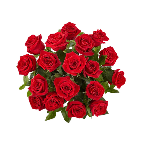 Rosas Rojas Enamorar