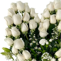 Primer plano de rosas blancas y pequeñas flores del arreglo Amor Sincero.