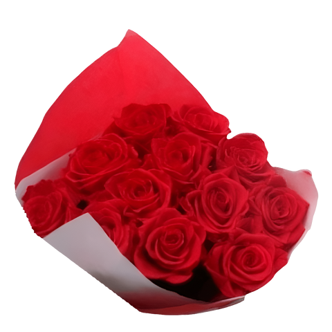 Rosas Rojas Para Regalar