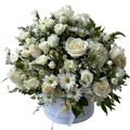 Caja blanca con rosas blancas y crema, margaritas y flores complementarias en una composición abundante y equilibrada.