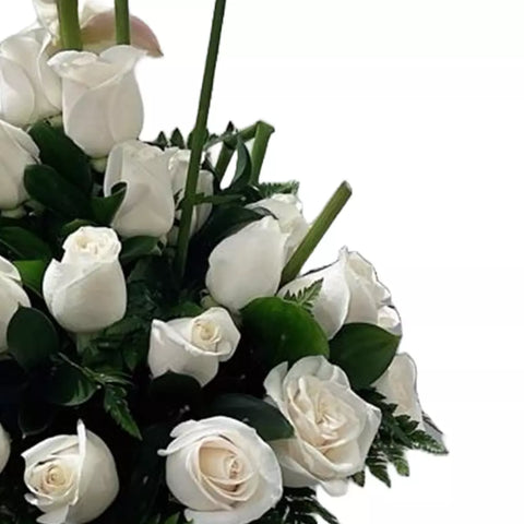 Saludamos al Bebé, con flores para regalar, incluyendo una delicada orquídea y hermosas rosas blancas, inspirará felicidad en la nueva familia, entregamos sus flores a domicilio en Bogotá, floristería Flores 24 Horas