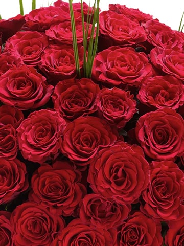 Flores 24 horas, Rosas, Aniversario, Dia de la madre, Romance