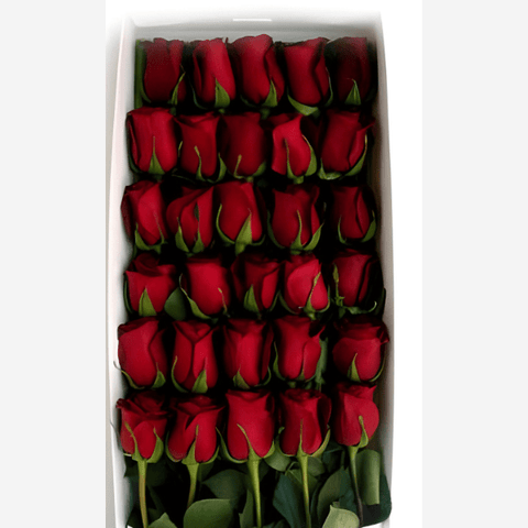 Rosas Aniversario Para Regalar, Rosas En Caja, Flores En Caja, Regalo De Rosas Únicas y Especiales Para Cualquier Ocasión, Flores 24 Horas, Domicilio En Bogotá DC.