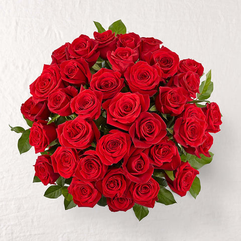 Rosas Rojas Enamorar, es un hermoso regalo para aniversario, regalo de flores para cumpleaños, flores para toda ocasión y decoración, Floristería Flores 24 Horas