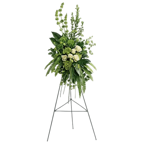 Pedestal y Arreglo Fúnebre, Corona y Pedestal "Siempre En Paz". contiene: hortensias verdes en miniatura, rosas verdes, clavel verde y campanas de Irlanda, está acentuado con bupleurum, mirto, helecho espada, hojas de aspidistra abigarradas, hoja de aralia, hierba de oso y hoja de limón. Flores 24 Horas, Bogotá, Colombia