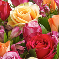 Rosas Otoño Dorado, combinación de rosas color amarillo, durazno, blancas, floristería flores 24 horas, Bouquet, Flores en Jarrón, regalo de aniversario