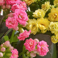 Happy Birthday Basket, flores para regalo de cumpleaños, flores y plantas para jardín, decoración de hogar, Flores 24 Horas