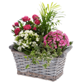 Happy Birthday Basket, flores para regalo de cumpleaños, flores y plantas para jardín, decoración de hogar, Flores 24 Horas