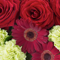 Rosas Rojas Celestial, bouquet de rosas, ramo de rosas, aniversario, romance, san valentín, Floristería Flores 24 Horas