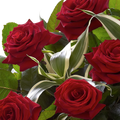 Rosas Rojas Celestial, bouquet de rosas, ramo de rosas, aniversario, romance, san valentín, Floristería Flores 24 Horas