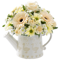 Regadera de Flores, flores para jardín y decoración de hogar con flores blancas, margaritas una bella rosa blanca, es un hermoso regalo para aniversario, regalo de flores para cumpleaños, flores para toda ocasión y decoración, Floristería Flores 24 Horas